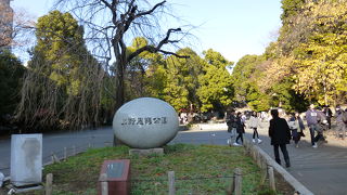 改めて見どころの多さを実感しました