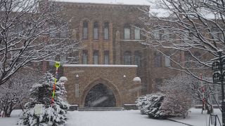 北大構内 無料博物館