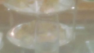 ホテル椿山荘東京にあります