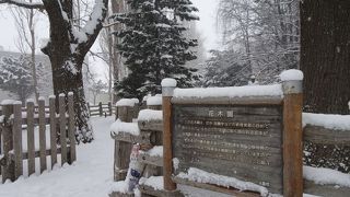 冬には向きません