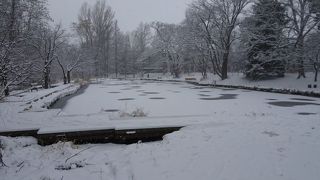 冬以外の季節にどうぞ