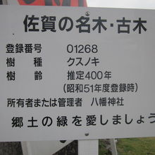 大楠の詳細はこちらで。