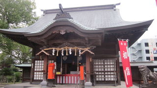 大楠と美しい鳥居が印象に残る八幡宮です