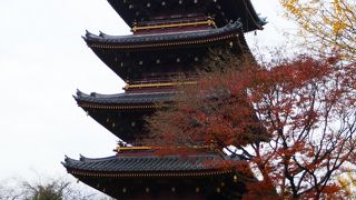 動物園の敷地内