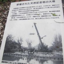 こういう苦労があって運ばれたんですね…。