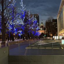 天気も穏やかで、イルミネーション日和でした