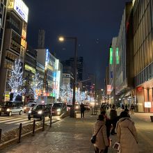 札幌駅前通も街路樹がキレイです