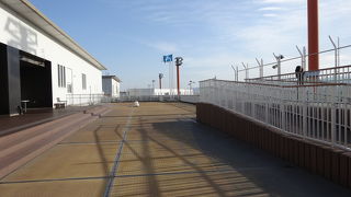 自衛隊機の訓練が見えます。