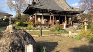 コスモスの寺