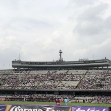 メインスタンド