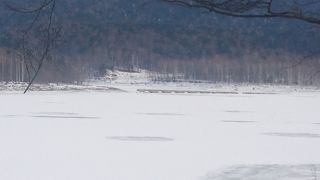 水没していて上部のみ