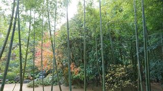 さすが日本一の庭園です