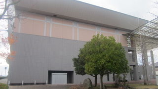 玉ノ海の像と紅葉に注目！