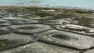 沖縄県指定の天然記念物
