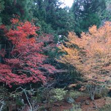 龍源寺間歩に行く途中の紅葉