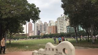 芝生が広がるほっとする公園