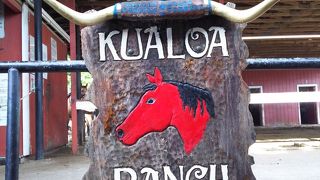 乗馬でクアロアランチを散歩体験