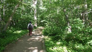 十和田湖散策で十和田神社に寄りました