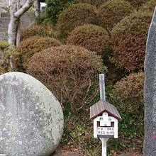 小さな箱に筆をおさめる