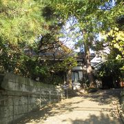 滝沢馬琴さんのお墓があります。