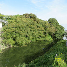 立派そのものです