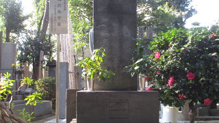 本堂前の絶好の場所にあります。