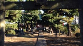 わら沓(くつ)を奉納したので沓稲荷とも