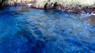 ためいきがでるほど美しい　賞味40分のボート　水着を持って短時間の泳ぐこともできる