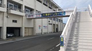 特段見るものは