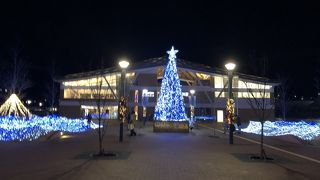 駅直結で便利。新しくて清潔