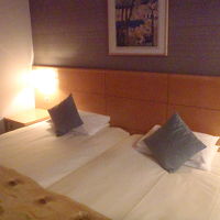 ハリウッドツイン