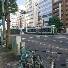 日本ではめずらしい連結タイプのLRT