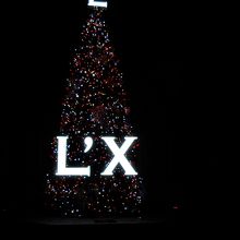 クリスマスツリーがありました。