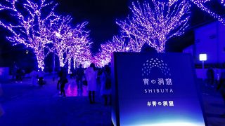 渋谷青の洞窟に行きました。今年は人が少ないような気がしました。