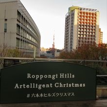 明るい時の眺め