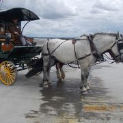 馬車でのんびりと行くのも良い