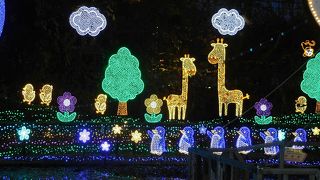 450万球のイルミネーション