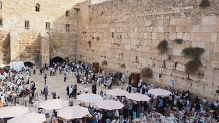 男女別に分かれています