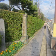 勿論、一番メインストリートらしい道には感じますが…。