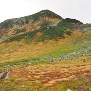 立山三山の中では一番南にある山