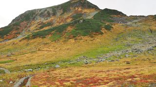 立山三山の中では一番南にある山