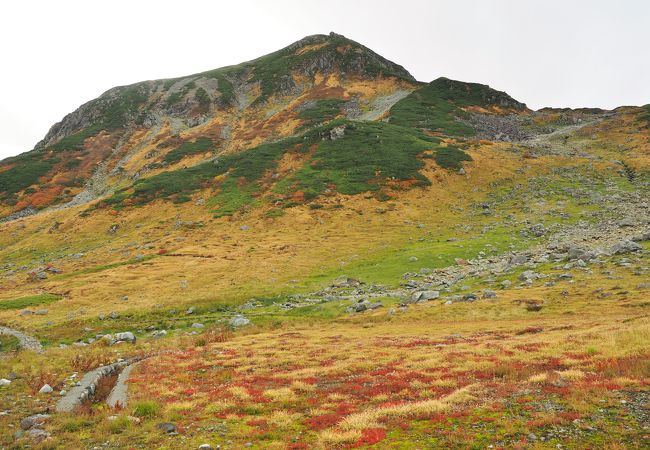 立山三山の中では一番南にある山