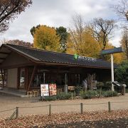 上野公園の散策に疲れたら