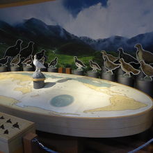 世界にいる雷鳥たち