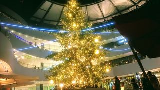 ゴールドに光る大きなクリスマスツリー