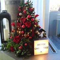 ツリーがたくさん飾ってありました