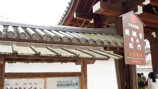 優雅に醍醐の花見のはずが・・・・・