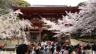仁王門(西大門)・醍醐寺伽藍はこの先です