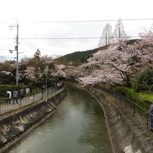 山科の山の向こうは京都方面へ水路は続きます
