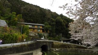 山科にも当然流れています。